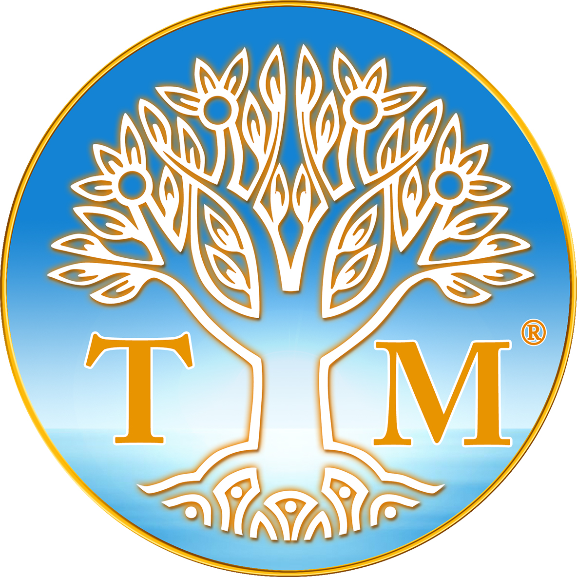 Summit Transcendental Meditation program